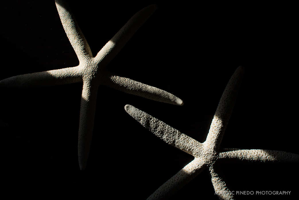Plants Dec 2015 - SM-4