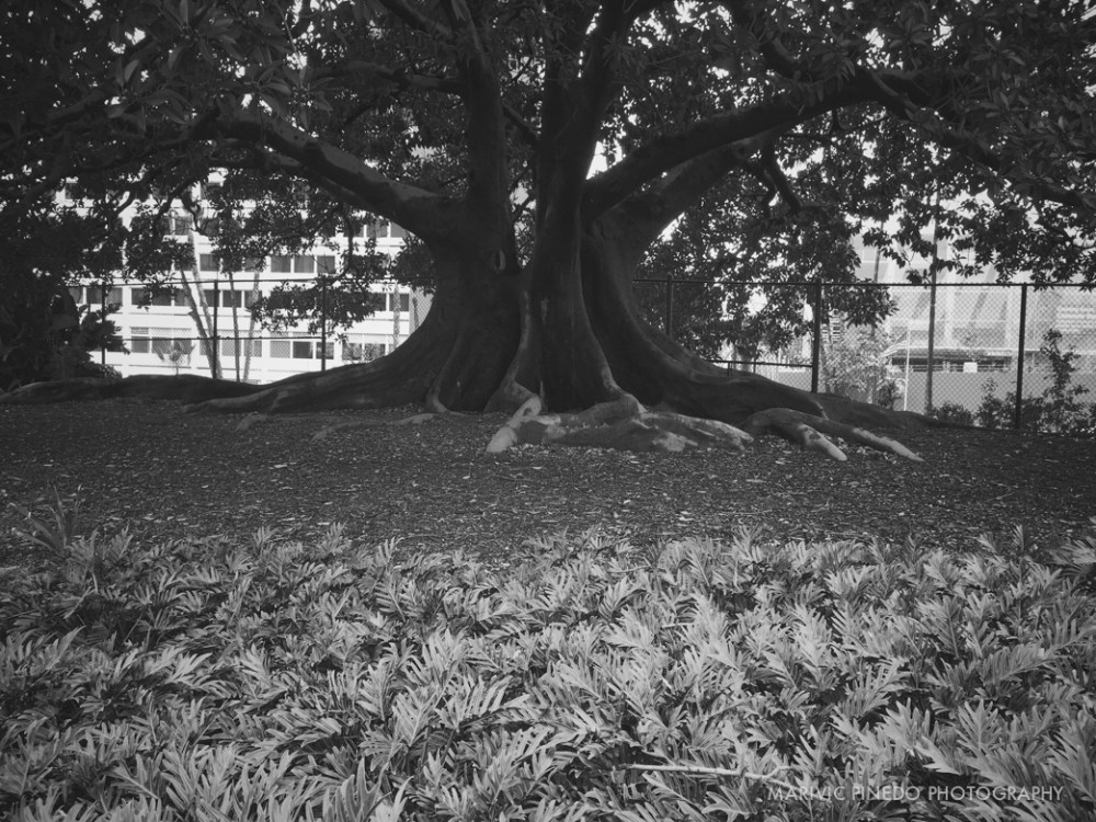 Processed with VSCOcam with b1 preset