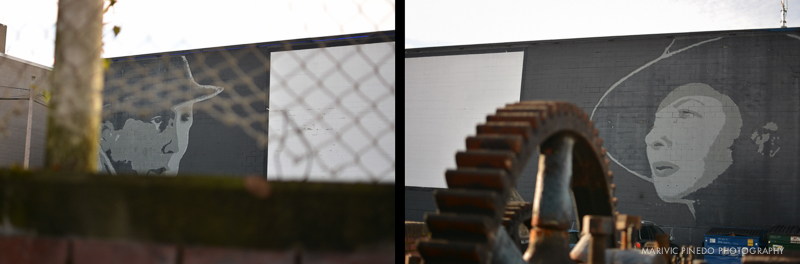 Fremont-Bogart-Bergman-Searching-FULLWM