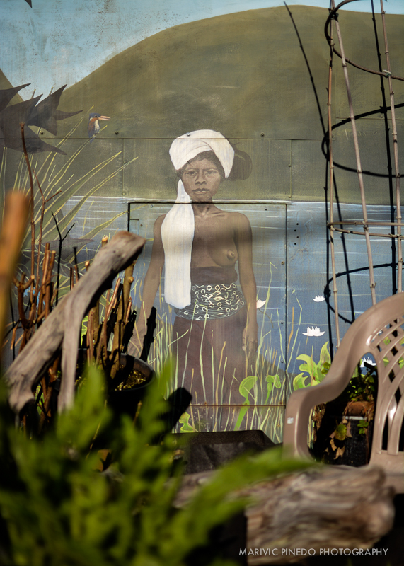 Indoor-Garden-(02.02.16)-SM