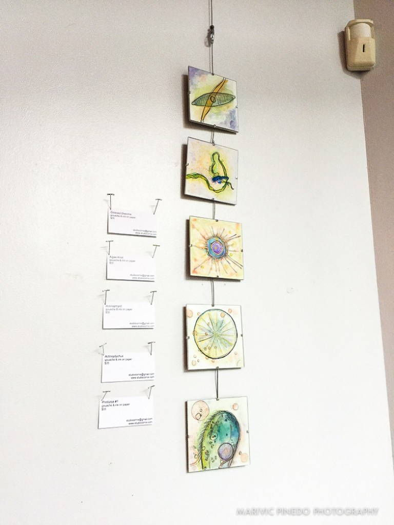 Wheelhouse-Showing-2