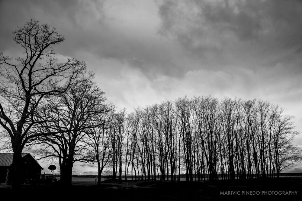 Golden-Gardens-APR2016-2