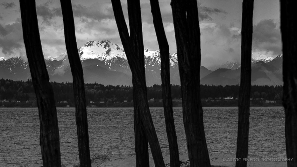 Golden-Gardens-APR2016-3