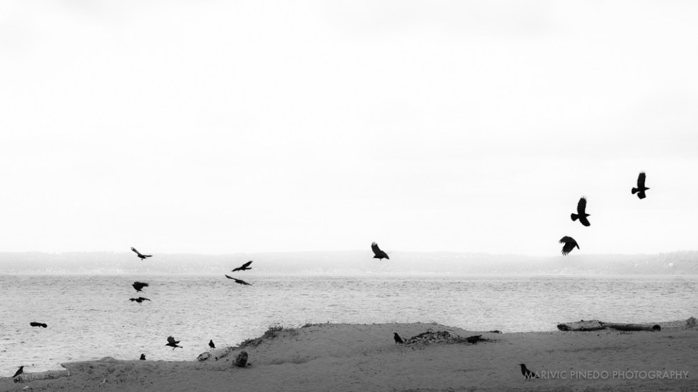 Golden-Gardens-APR2016-7