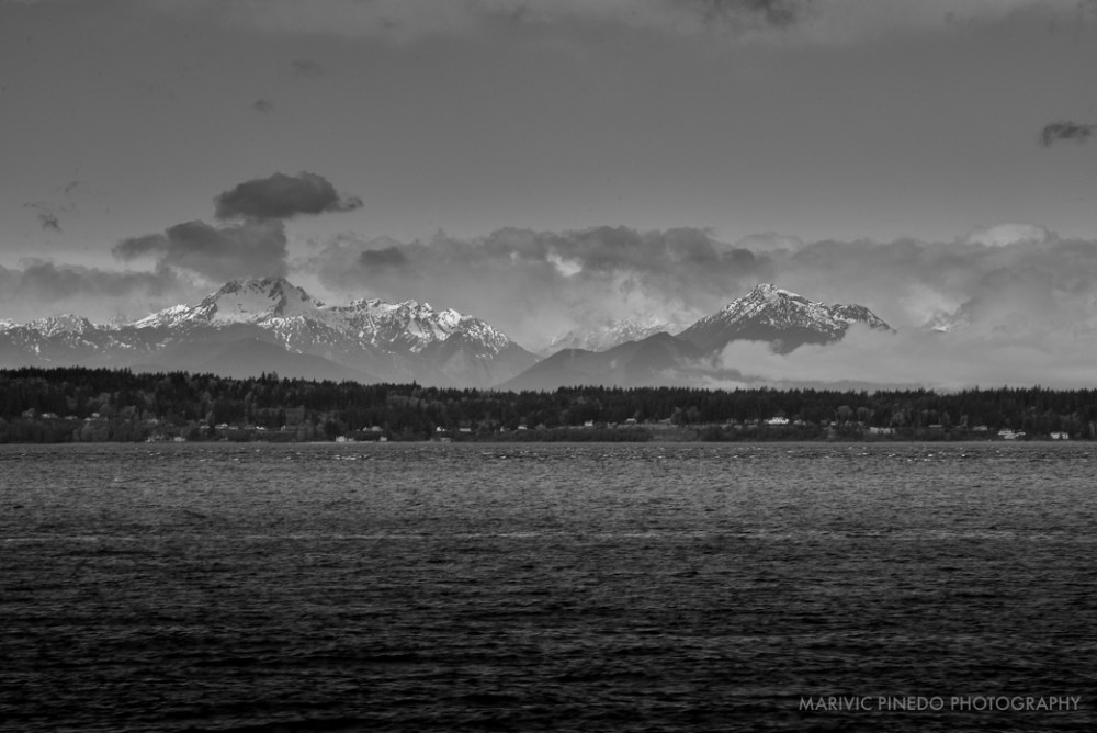 Golden-Gardens-APR2016