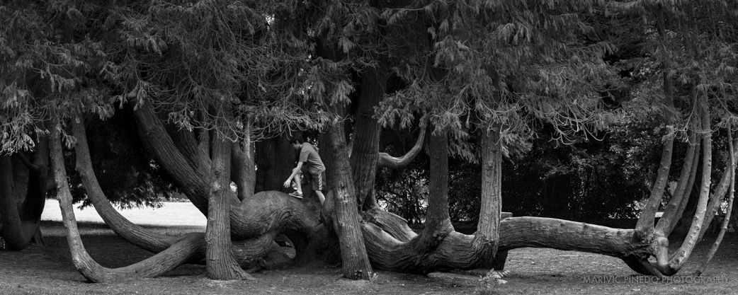 Volunteer-Park-APR2016-SM-10