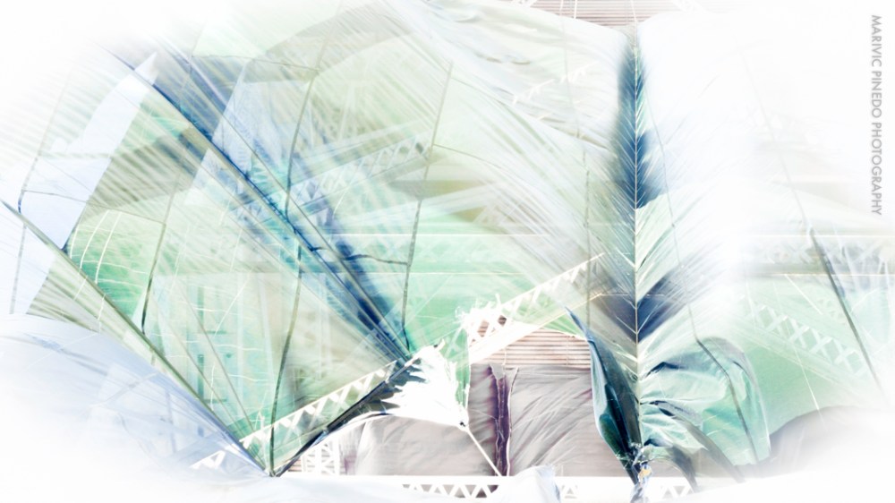 Aurora-Bridge-GreenBlues-SM