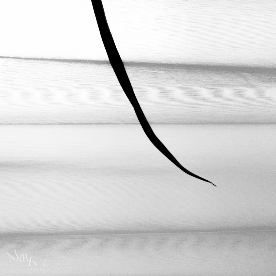 BW-2016-13
