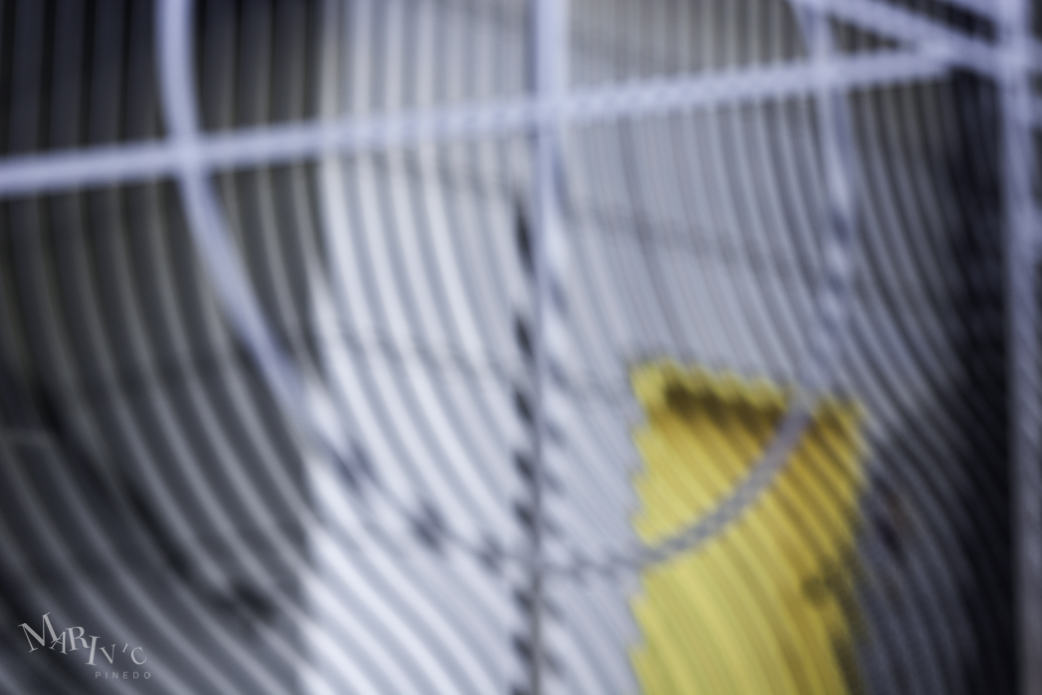 Out-Of-Focus-YellowDoor-SM