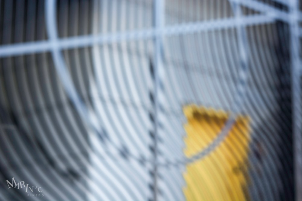 Out-Of-Focus-YellowDoor-SM