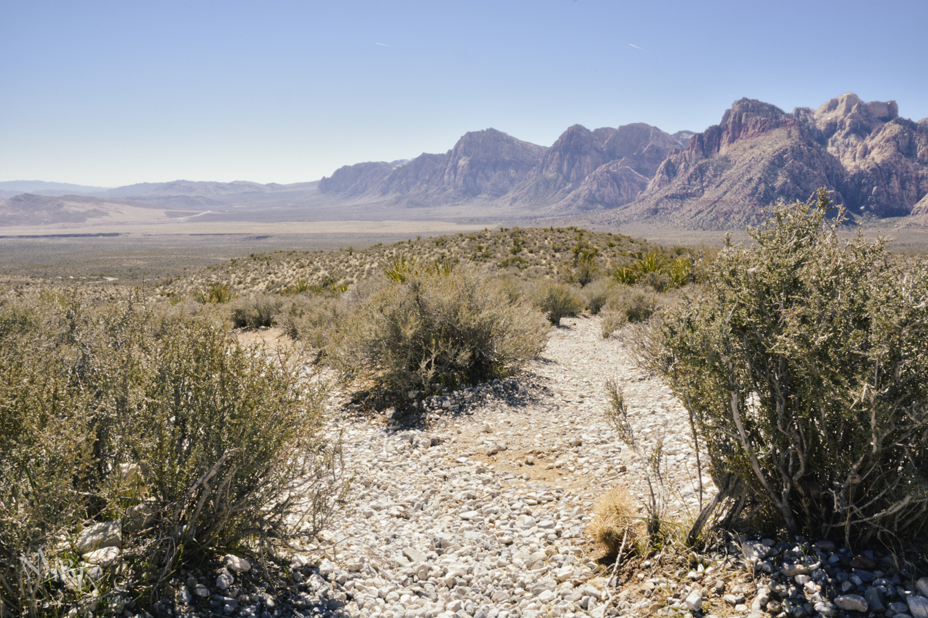 Mojave-Death-Race-Wordpress-2