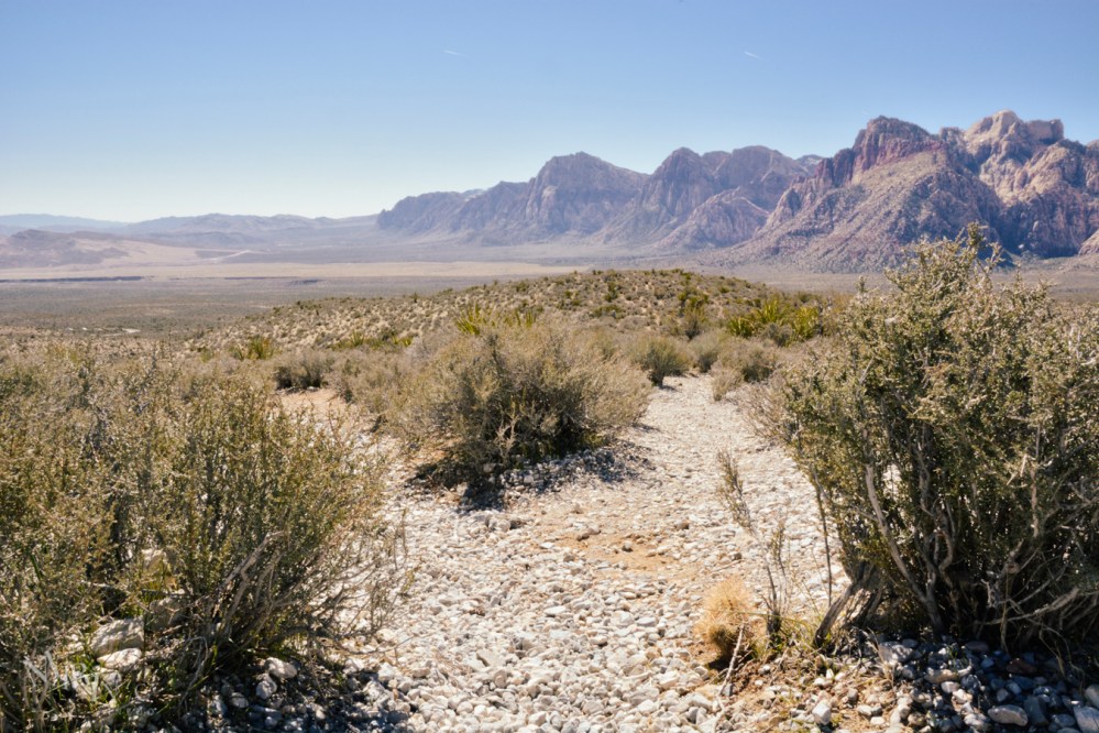 Mojave-Death-Race-Wordpress-2