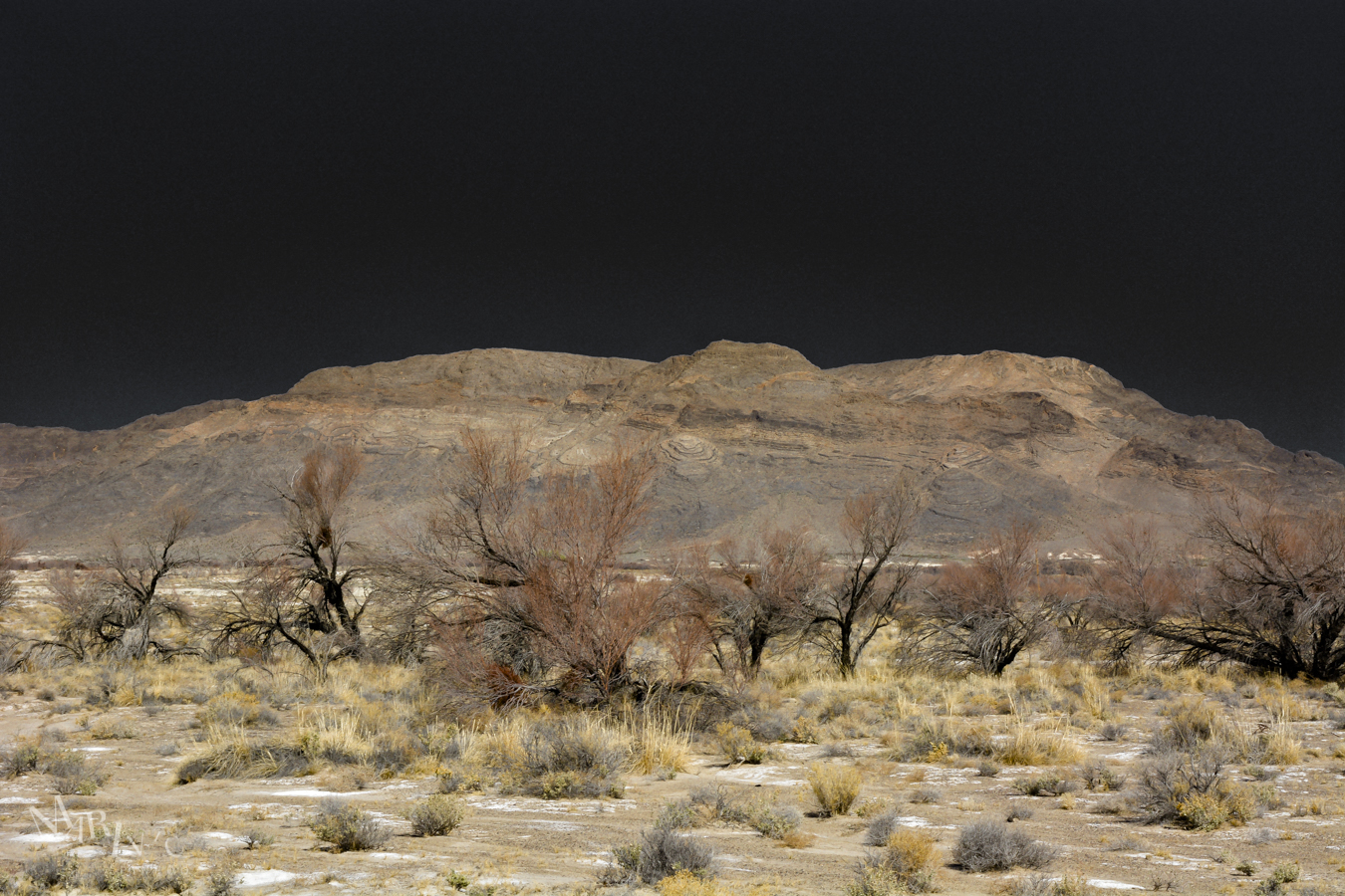 Mojave-Death-Race-Wordpress-3
