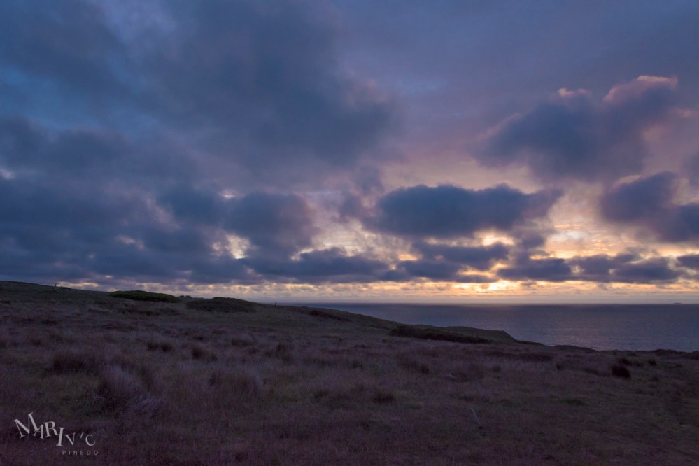 Mojave-Death-Race-Wordpress-6