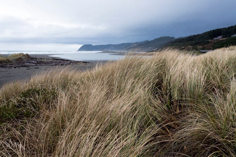 Mojave-Death-Race-Wordpress-7