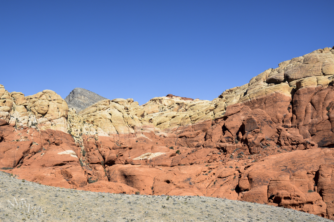 Mojave-Death-Race-Wordpress