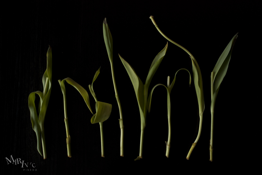 Off-With-Their-Heads-SM