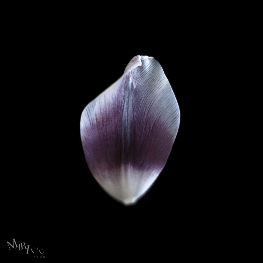 Whats-Left-MPINEDO-SM