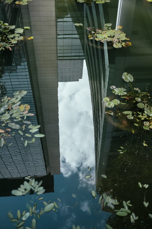PhotoWalk-06.14.17-4