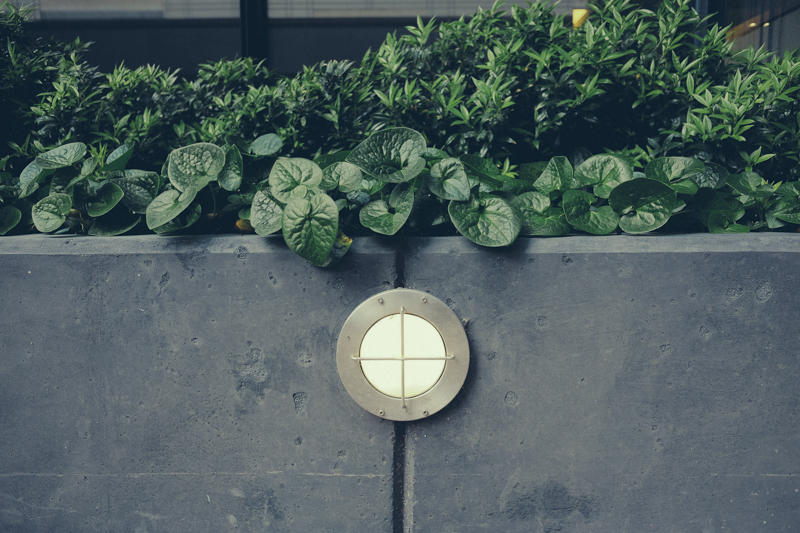PhotoWalk-06.14.17