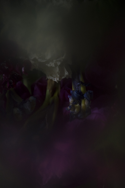 At The Ballet | June 10, 2017 | Marivic Pinedo