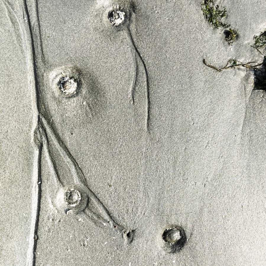 Low Tide